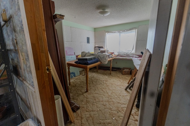 miscellaneous room with carpet floors and a textured ceiling