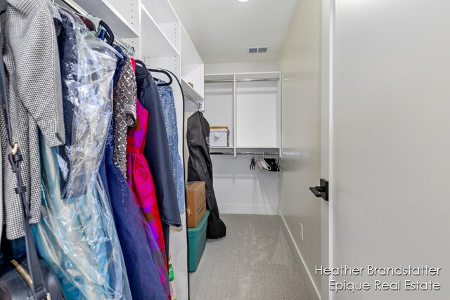 spacious closet with light carpet