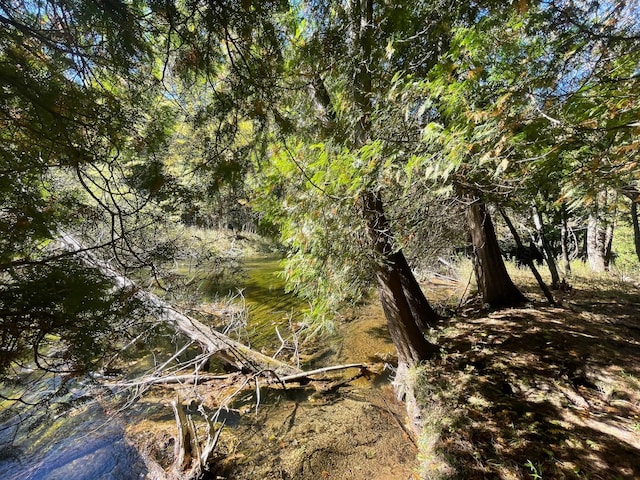 view of landscape