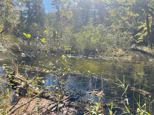 view of local wilderness featuring a water view