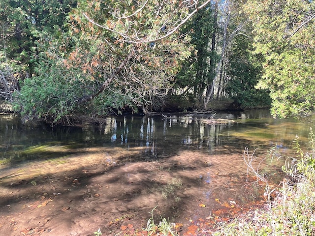 view of yard featuring a water view