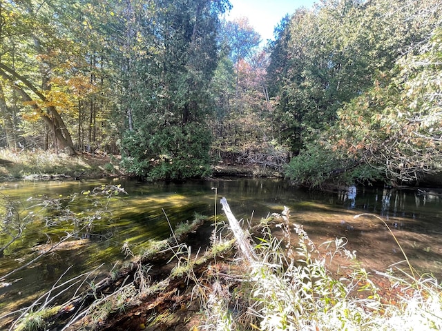 view of local wilderness with a water view