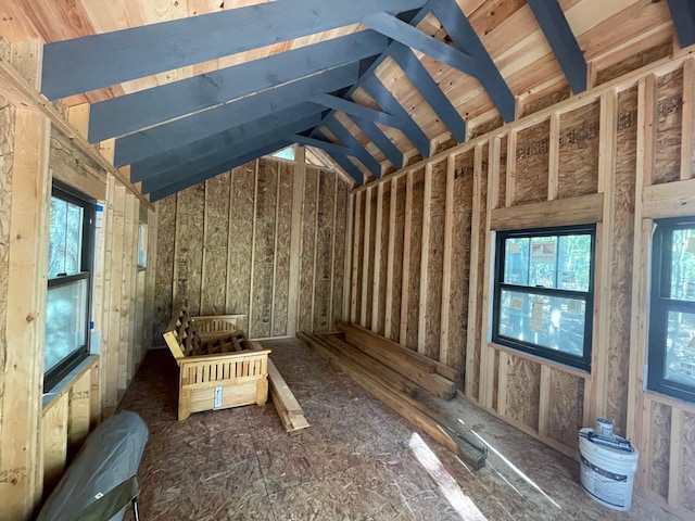 miscellaneous room with lofted ceiling