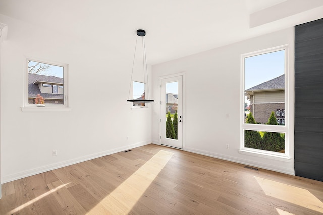 interior space with light hardwood / wood-style floors and plenty of natural light