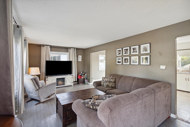 living room with wood-type flooring and a textured ceiling