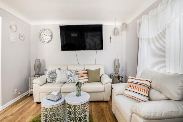 living room featuring wood-type flooring