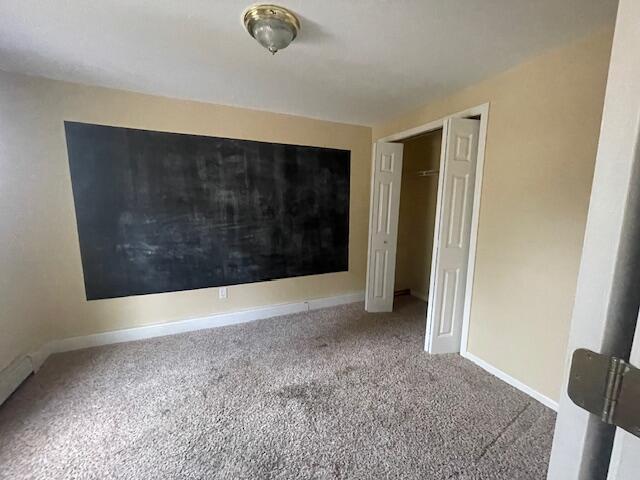 interior space featuring carpet floors and a closet