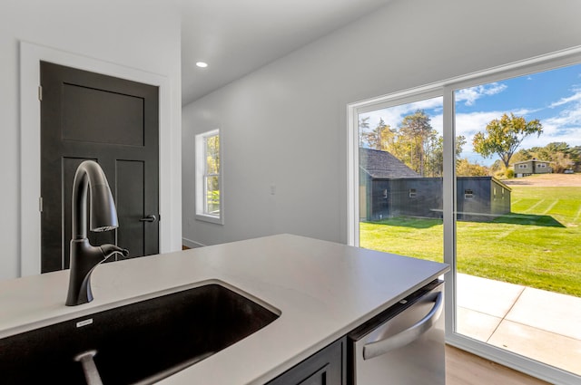 kitchen with light hardwood / wood-style floors, sink, and stainless steel dishwasher