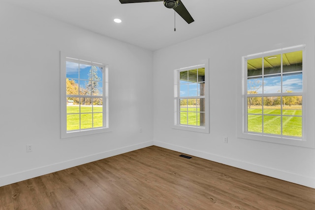 unfurnished room with ceiling fan, a wealth of natural light, and wood-type flooring