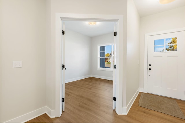 foyer entrance featuring wood-type flooring and plenty of natural light