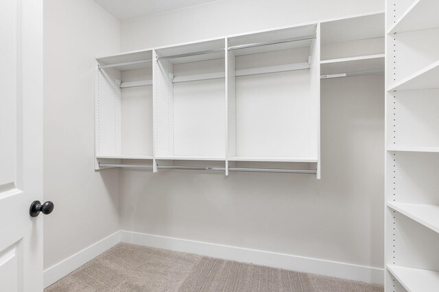 walk in closet featuring light colored carpet