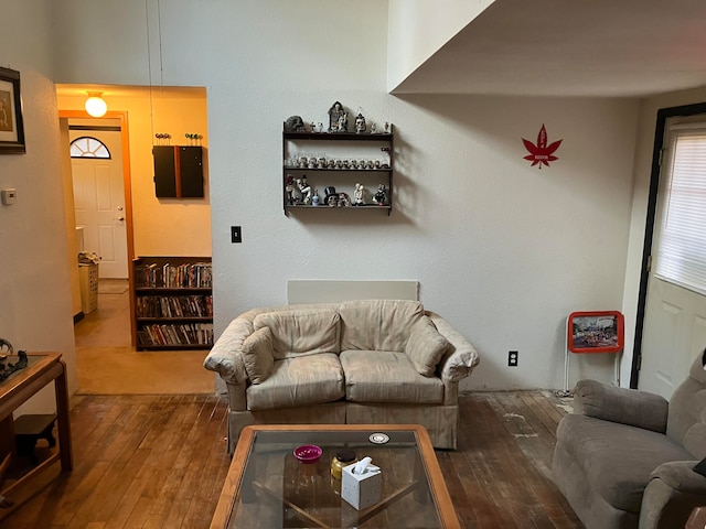 living room with hardwood / wood-style flooring