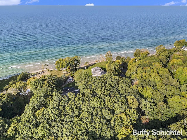 3163 N Scenic Dr, Muskegon, MI 49445 - birds eye view of property with a water view and a view of the beach
