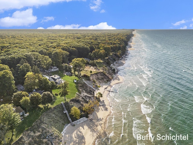 3163 N Scenic Dr, Muskegon, MI 49445 - bird's eye view with a forest view and a water view