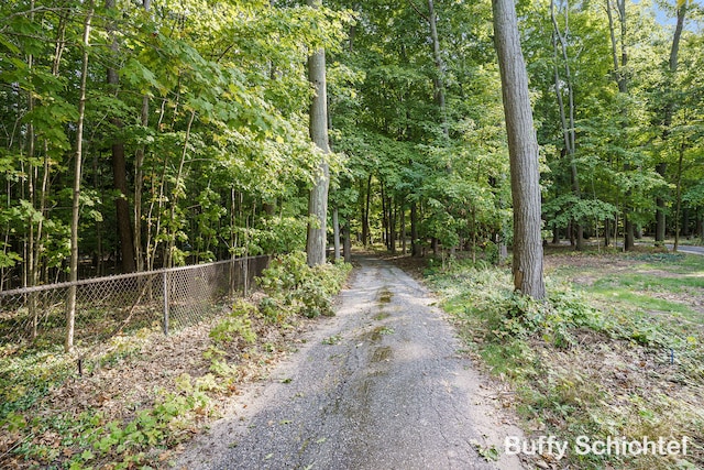 3163 N Scenic Dr, Muskegon, MI 49445 - view of road with a wooded view