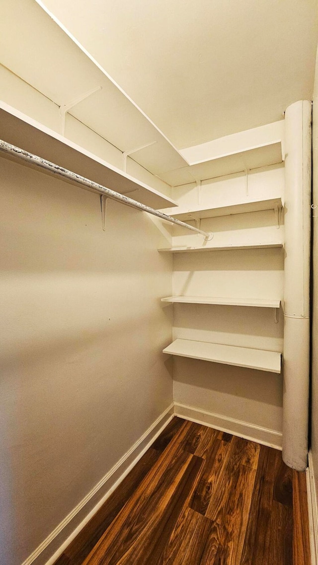 spacious closet with dark hardwood / wood-style floors