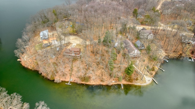 V/L Hollybrook Court, Jerome, MI 49249 - photo 1