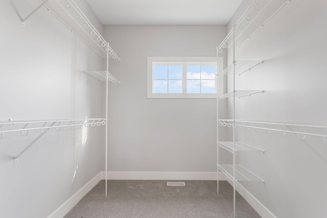 spacious closet with carpet