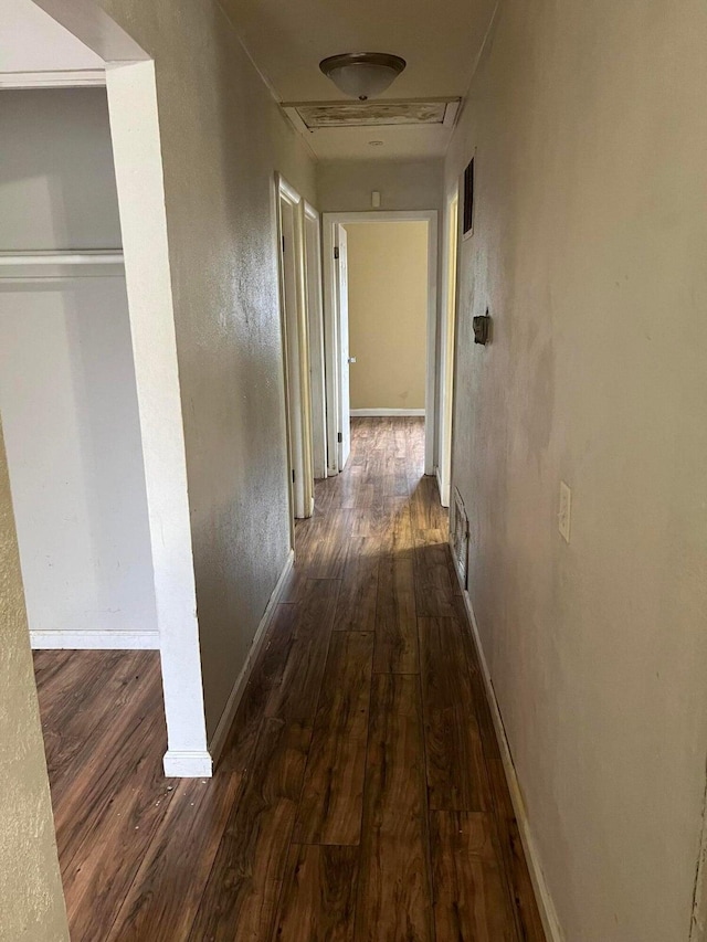 hallway with dark wood-type flooring