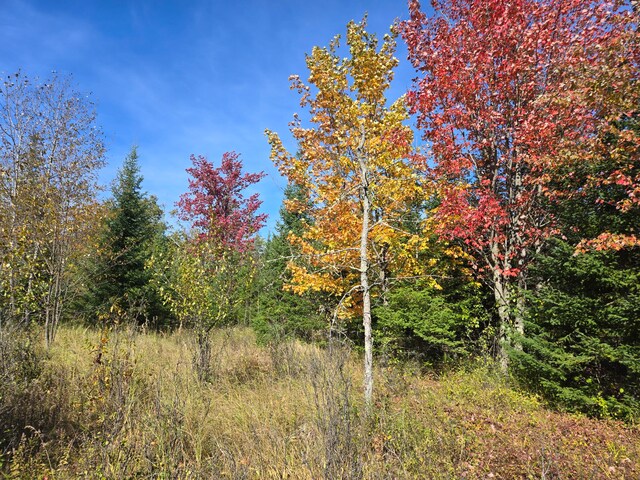 view of nature