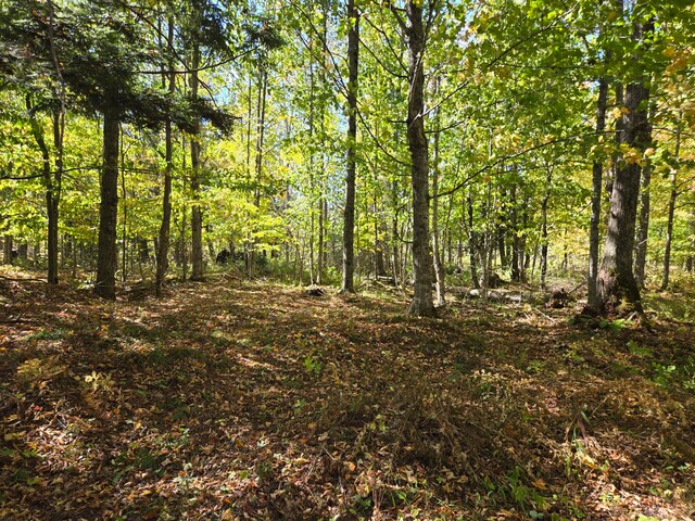 view of landscape