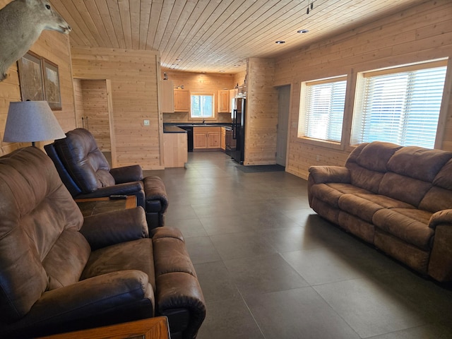 living room with wood walls, sink, and wooden ceiling