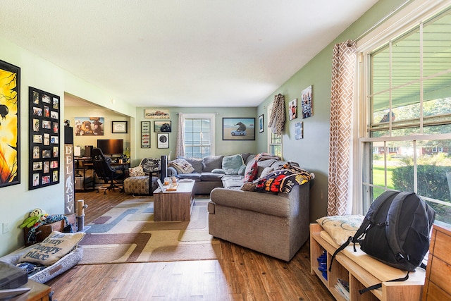 living room with wood-type flooring and a textured ceiling