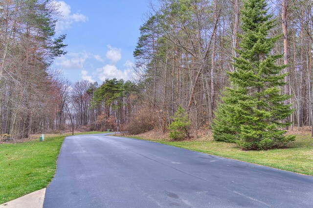LOT44 Sanctuary Dr, Jackson, MI 49201 - photo 5