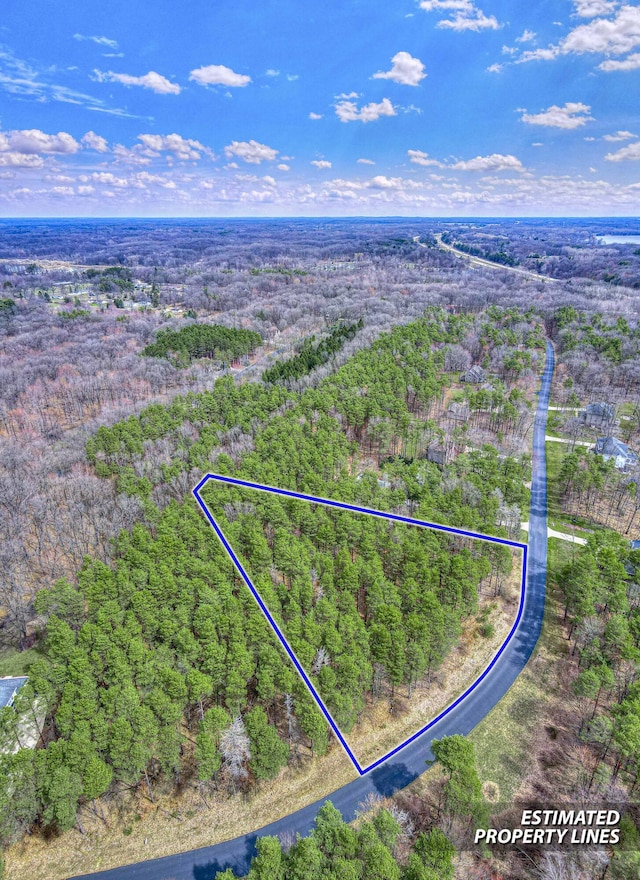LOT44 Sanctuary Dr, Jackson, MI 49201 - photo 15