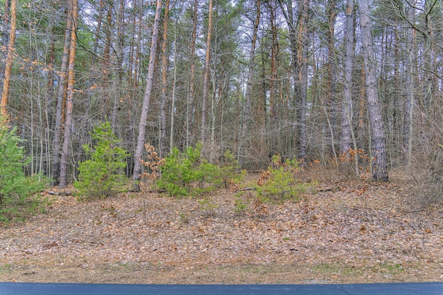 LOT44 Sanctuary Dr, Jackson, MI 49201 - photo 6