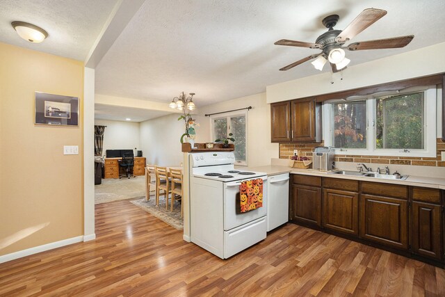 kitchen featuring light hardwood / wood-style floors, a healthy amount of sunlight, and white appliances