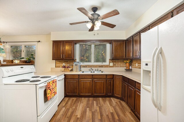 kitchen with dark hardwood / wood-style floors, tasteful backsplash, sink, and white appliances