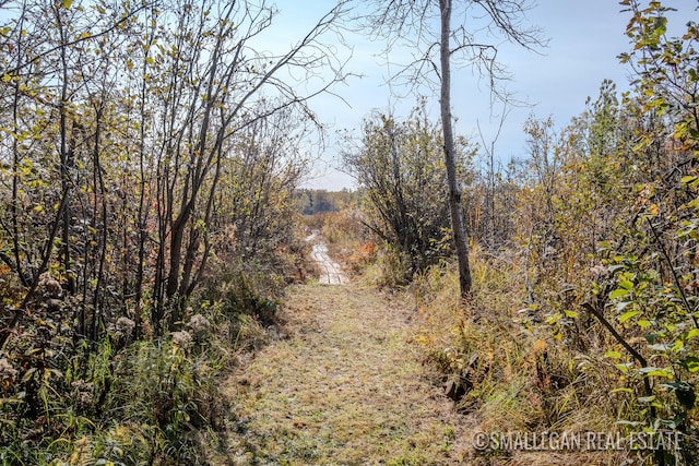 view of local wilderness