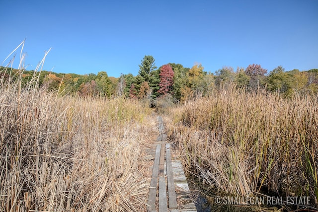 view of local wilderness