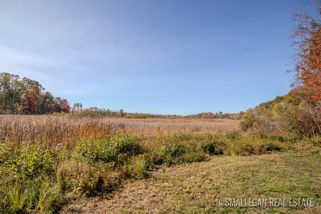 view of landscape featuring a rural view