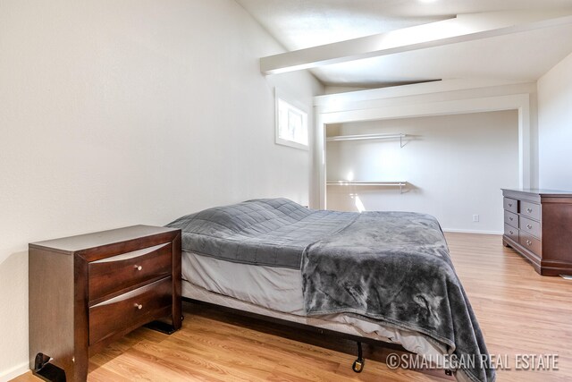 bedroom with light hardwood / wood-style floors and vaulted ceiling