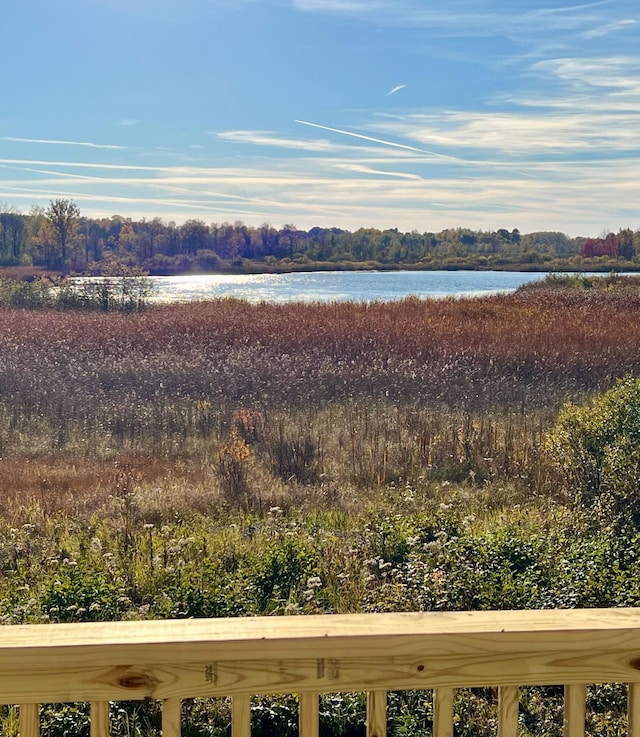 view of water feature