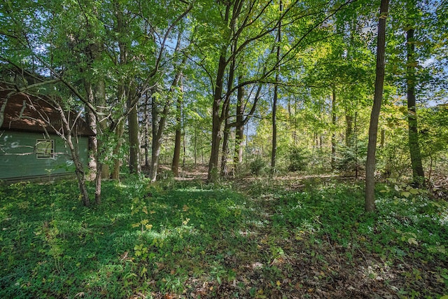 view of local wilderness