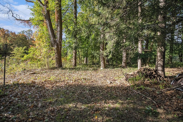 view of local wilderness