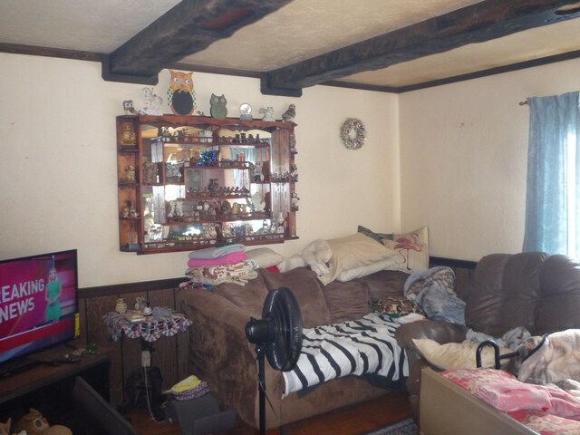 living room with crown molding and beam ceiling