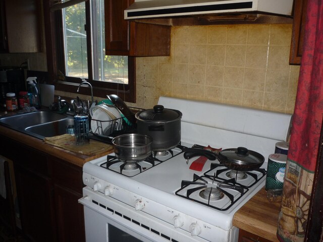 kitchen with gas range gas stove, ventilation hood, decorative backsplash, and sink