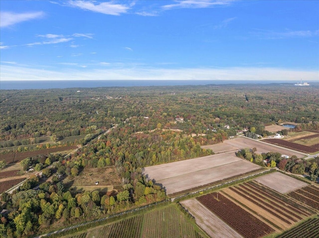 Butternut Dr, Parcel B Holland, MI 49424