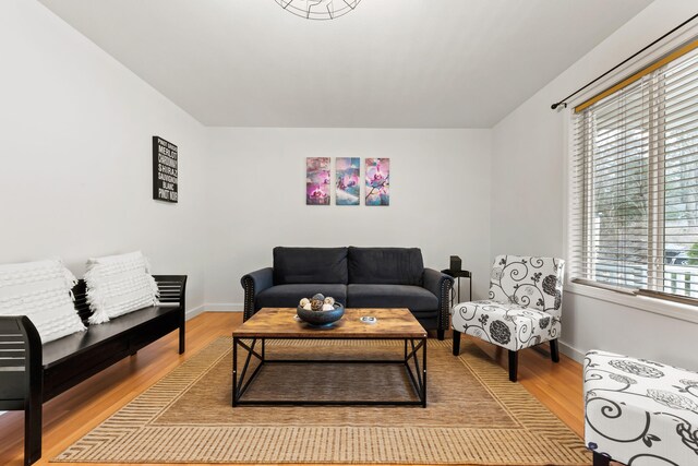 living room featuring a wealth of natural light and wood-type flooring