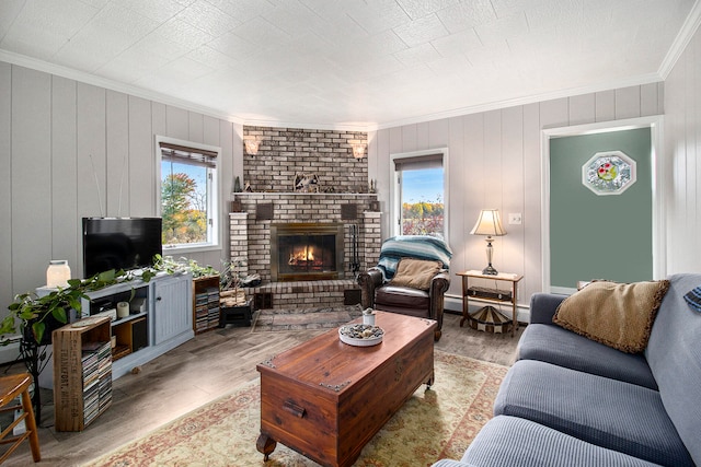 living room with ornamental molding, a fireplace, light hardwood / wood-style floors, and plenty of natural light