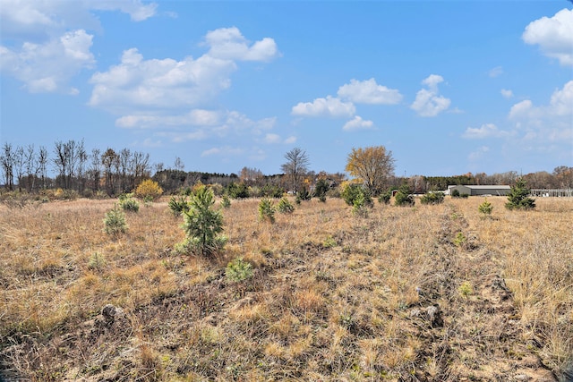 view of local wilderness with a rural view