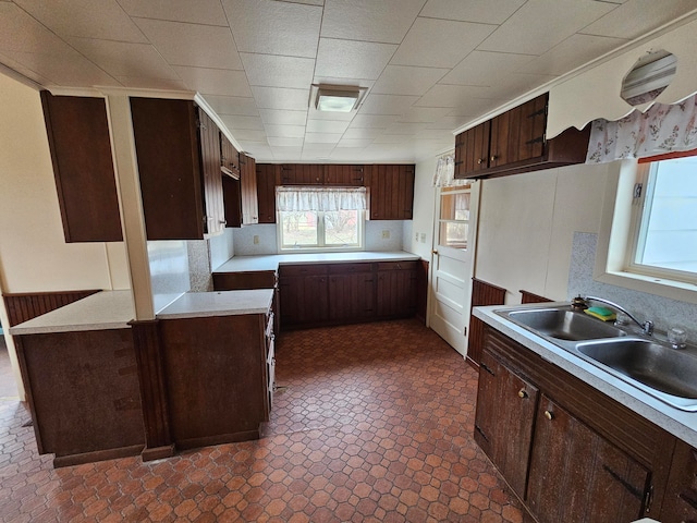 kitchen featuring dark brown cabinets and sink