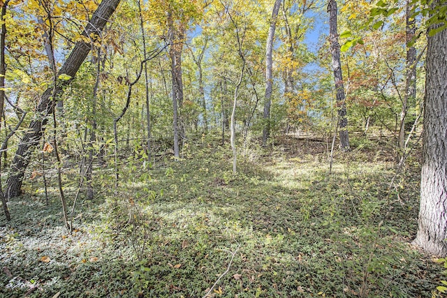 907 Ridge Ct, Chelsea, MI 48118