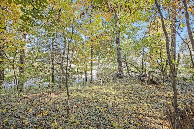 907 Ridge Ct, Chelsea, MI 48118