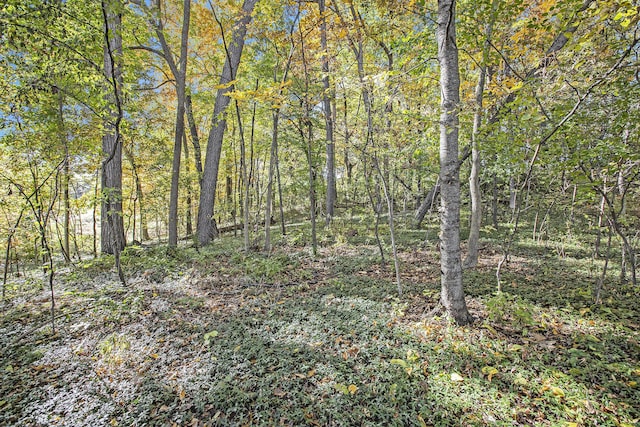 907 Ridge Ct, Chelsea, MI 48118