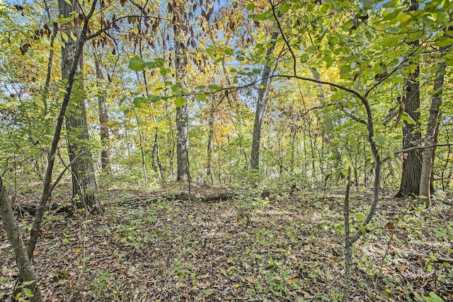 907 Ridge Ct, Chelsea, MI 48118